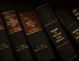 Legal Assistance for Immigration Problems