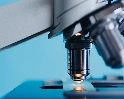 Highly Skilled Migrant Programme (HSMP) Replaced by Tier 1